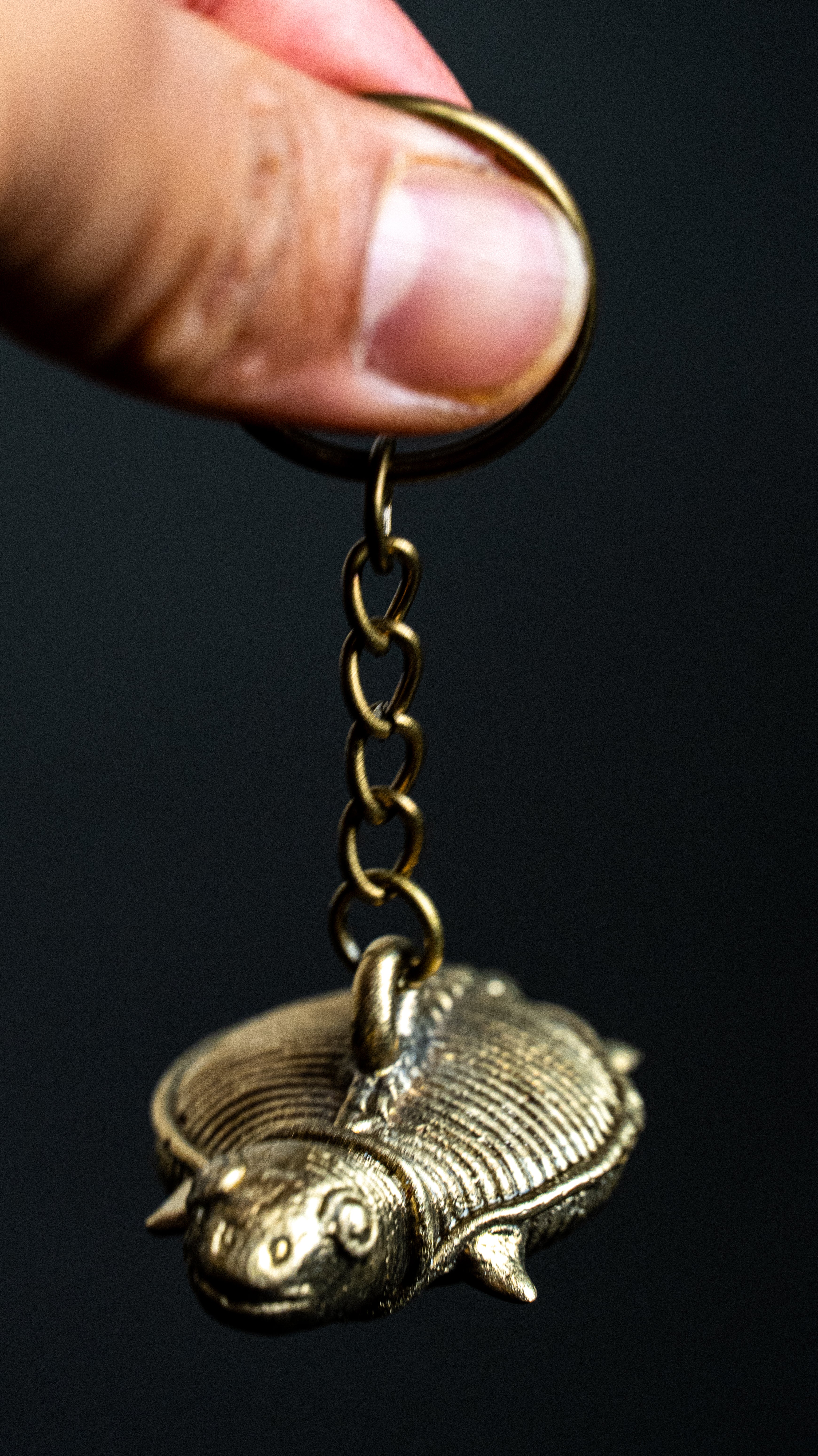 Hand holding a bronze trilobite keychain with ridged, segmented body against dark background