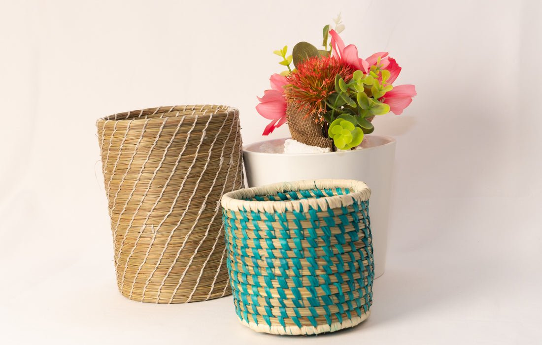 Three woven baskets with a small potted plant on a white background