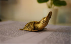 Handmade Brass Sea Turtle Statue with Coin Feature